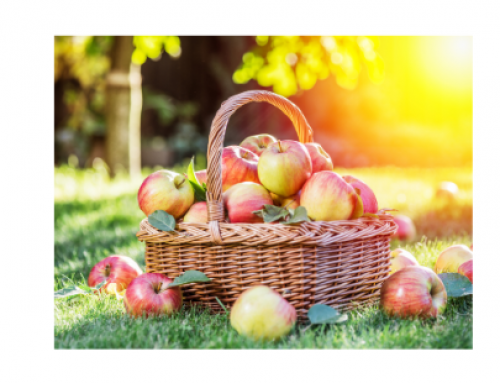 Skin health reflects how your body is feeling too.