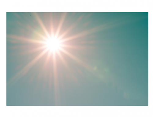 Vitamin D may slow Cellular Aging